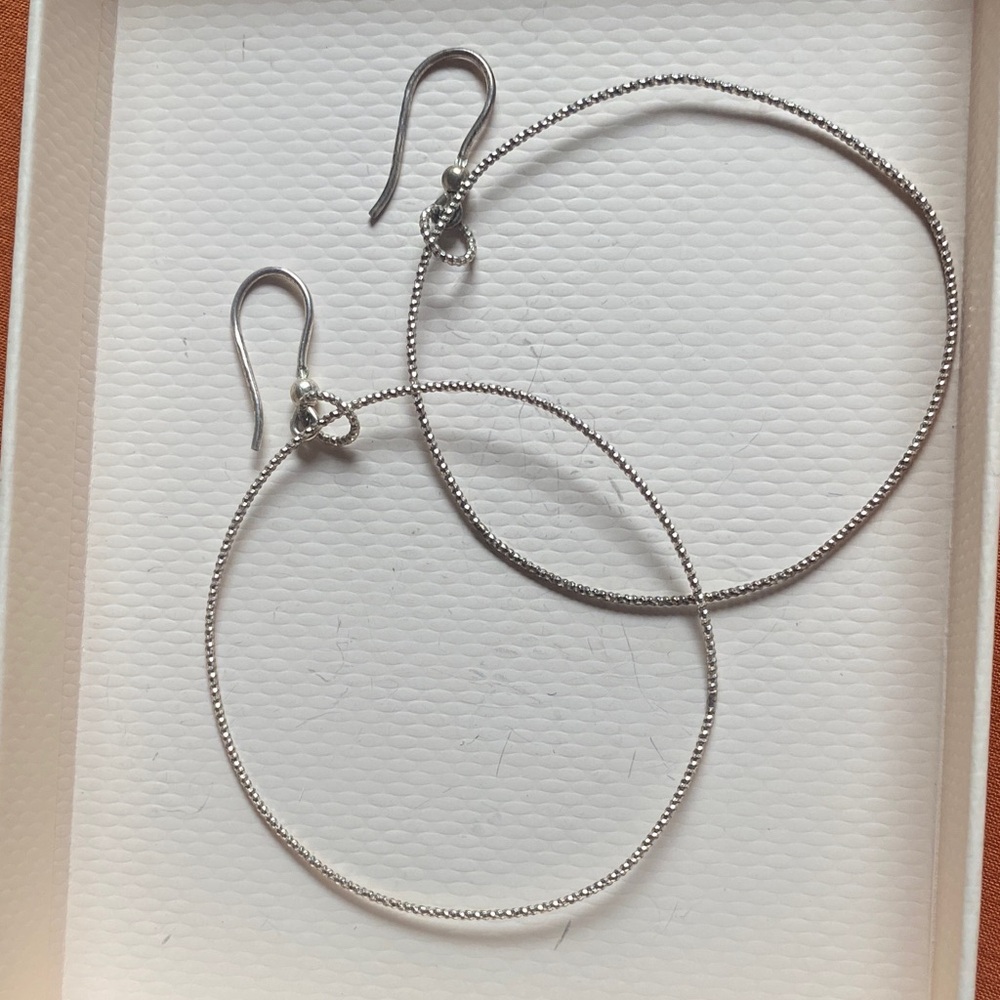Elegant Silver Hoop Earrings